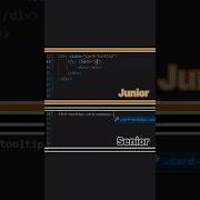 The Great Frontend Developer Debate Junior Vs Senior Webdevlopment Html Css Html5 Shorts