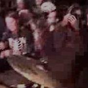 Lightning Bolt Dracula Mountian Live Halloween
