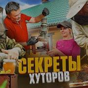 Два ХУТОРА на одной ЗЕМЛЕ с УДИВИТЕЛЬНЫМИ СЕКРЕТАМИ КАЧАЕМ МЁД и СТАРИННЫЕ НАХОДКИ