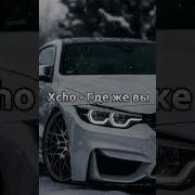 Xcho Где же вы