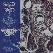 Seed Of Pain Demonstration Of Power Split 2022 Full Stream