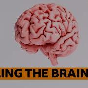 The Incredible Way Our Brain Can Heal Itself BBC Ideas