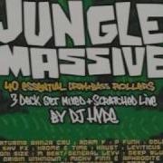 Wicked Wicked Jungle Is Massive Ali G Indahouse