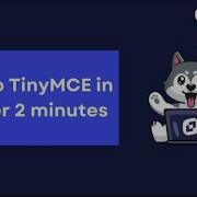 Setup TinyMCE In Under 2 Minutes