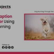 Image Caption Caption Generator Using Deep Learning