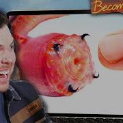 Bloodworm Bite Is So Much Worse Than You Think