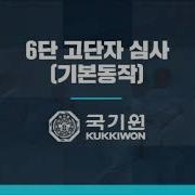 KUKKIWON 6 DAN BASIC