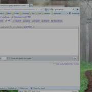 Import And Run SQL Script File