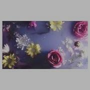 Galdive Lotus Official Audio