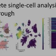 Complete Single Cell RNAseq Analysis Walkthrough Advanced Introduction