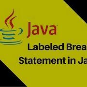 5 7 How To Use Labeled Break Statement In Java Hidden Feature
