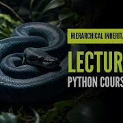 Hierarchical Inheritance Hierarchical Inheritance In Python Lecture 69 Python Course