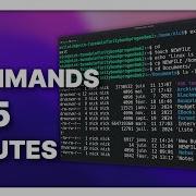 Learn The LINUX COMMAND LINE 40 Commands In 15 Minutes