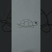How To Draw A Very Easy And Beautiful Turtle Drawing