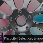 Plasticity Selections And Snaps And Item Viewing