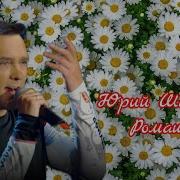 Юрий Шатунов Ромашки 2019 Год