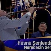 Hüsnü Şenlendirici NEREDESİN SEN