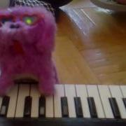 Dog Plays On A Keyboard