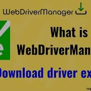 WebDriverManager API Auto Download Driver Exe Files In Selenium Launch Browser Without Exe