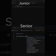 Junior Vs Senior Dev Skill Gap Explained Flutter Codeflow Dart