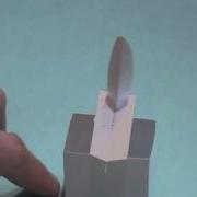 Dog Tail Pendulum