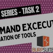 DVWA Task 2 Command Execution