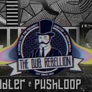 The Widdler Pushloop Houdini