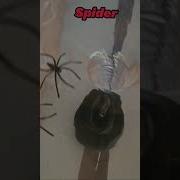 Magic Whirlpool Hole Put S In And It Turns To Alphabetloresound Whirlpoolhole Vortex
