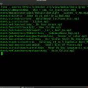 BASH Lesson 5 While Loops