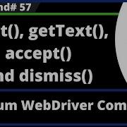 Alert GetText Accept And Dismiss Commands Selenium WebDriver