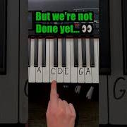 Learn Songs In 2 Minutes Or Less Link In Bio