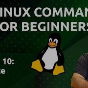 Linux Commands For Beginners 10 Checking Resource Usage