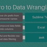 Intro To Data Wrangling For Bioinformatics