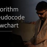 Difference Between Algorithm Pseudocode Flowchart Why Learn Programming Logics Techniques