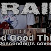 Drain Good Good Things Descendents Cover Guitar Cover
