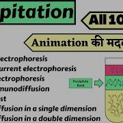 Precipitation Reaction Types Of Precipitation Microbiology Immunology Hindi Ag Ab Reaction