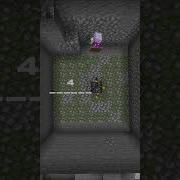 Easy Skeleton Farm 1 16 5