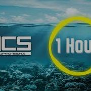 Diviners Feat Contacreast Tropic Love 1 Hour