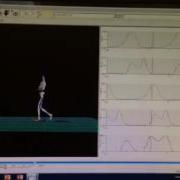 Visual 3D