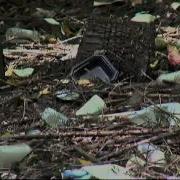 Chattanooga Police Discover Meth Lab In Woods