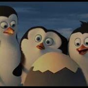 Penguins Of Madagascar Opening Scene