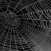 Java How To Crawling The Web