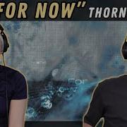 Thornhill For Now REACTION