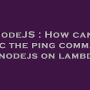 NodeJS How Can I Exec The Ping Command In Nodejs On Lambda