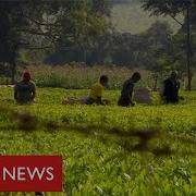 Kenya S Colonial Inequalities Continue Decades After Independence BBC News