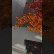 Handmade Maple Tree Sculpture Fall Inspired Wire Art For Sale Art Handmade Decor Indoorplants