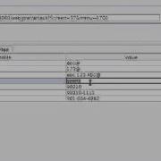 Webgoat Bypass Client Side JavaScript Validation
