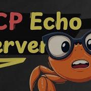 Building A TCP Echo Server In Rust Is Easy