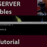 PHP Tutorial What Is The PHP SERVER Variable