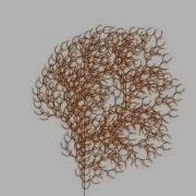 Ferns And Trees L System